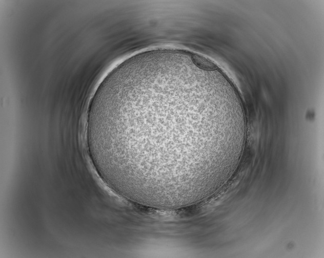 X0000099510911200805291147