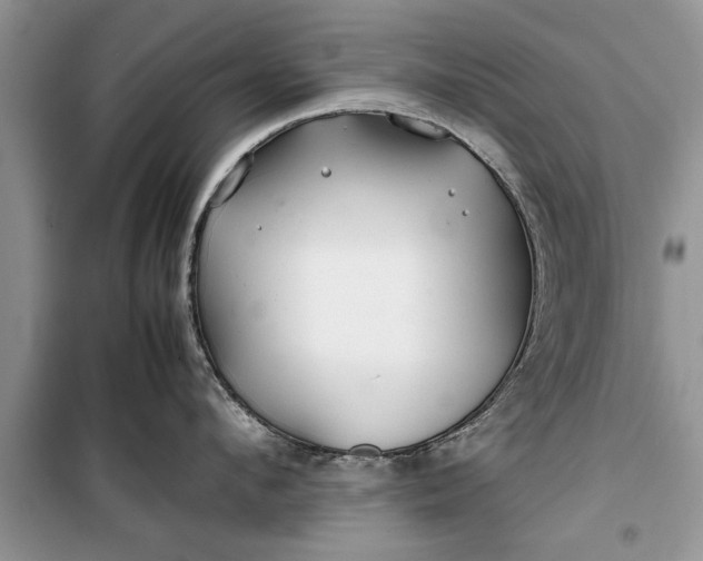 X0000099510912200805291146