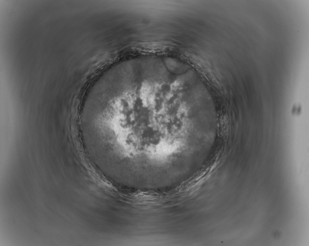 X0000099510913200805291146