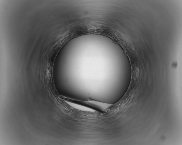 X0000099510914200805291146