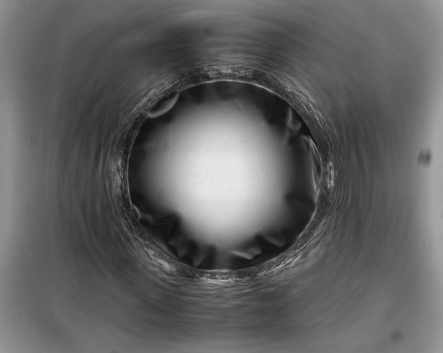 X0000099510915200805291146