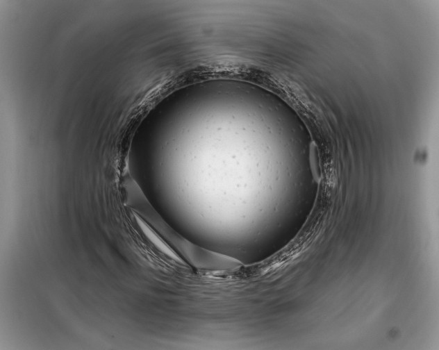 X0000099510916200805291146