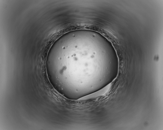 X0000099510917200805291146