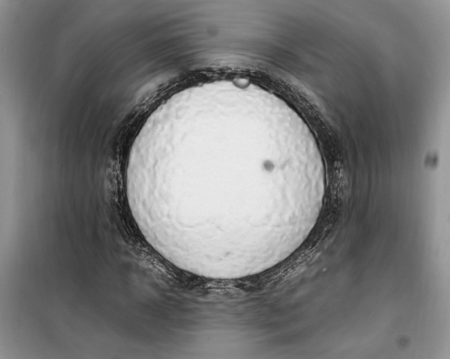 X0000099510918200805291146