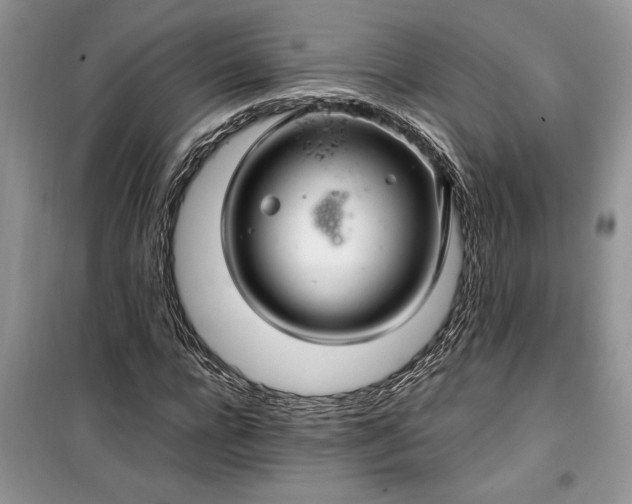 X0000099510920200805291146