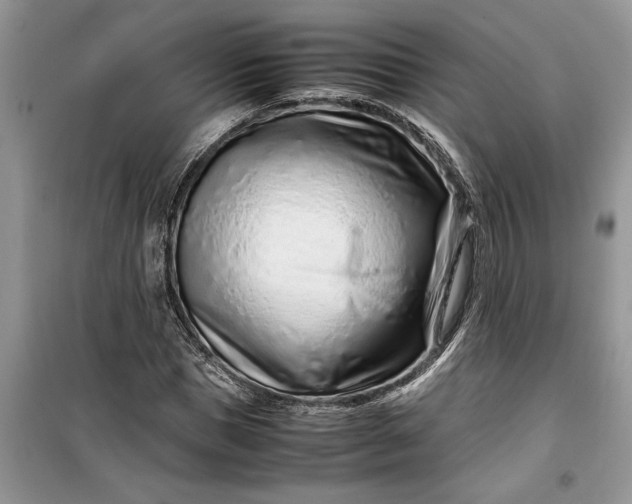 X0000099510921200805291146