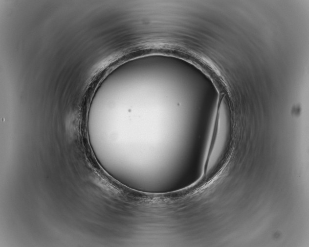 X0000099510922200805291146