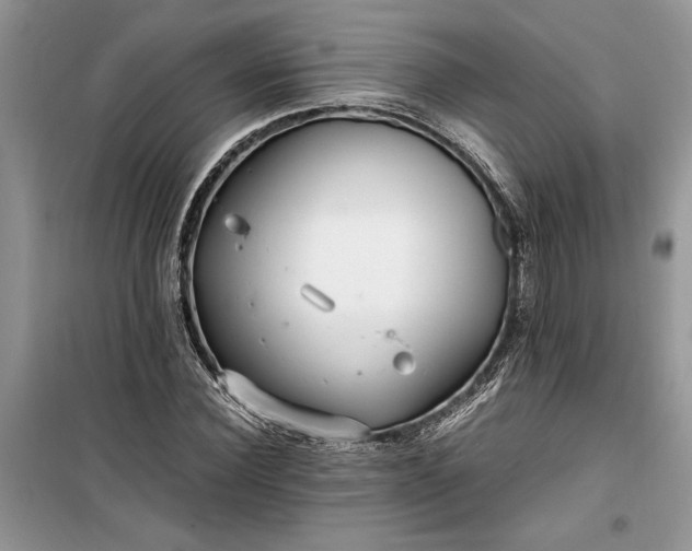 X0000099510924200805291146