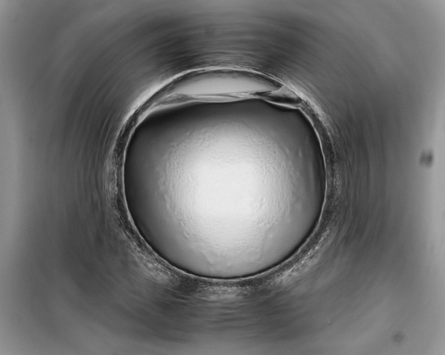 X0000099510925200805291146