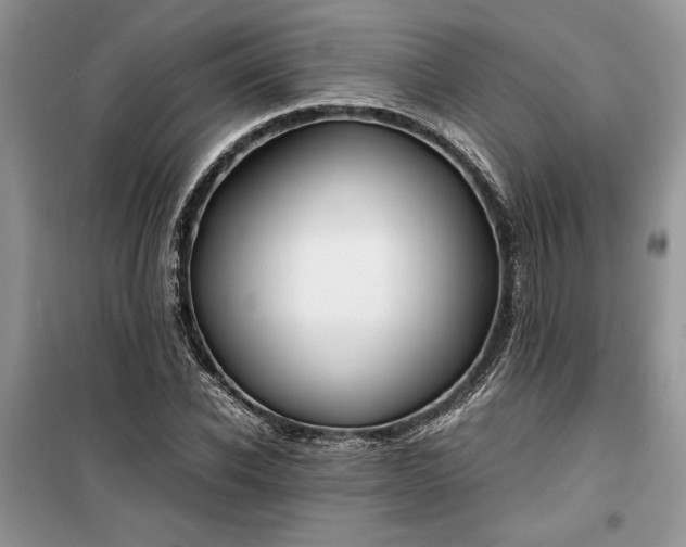 X0000099510926200805291146