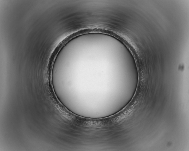 X0000099510927200805291146