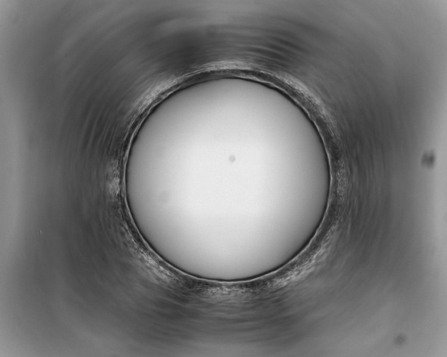 X0000099510929200805291146