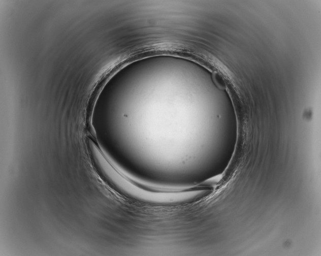 X0000099510930200805291146