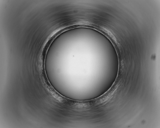 X0000099510931200805291146