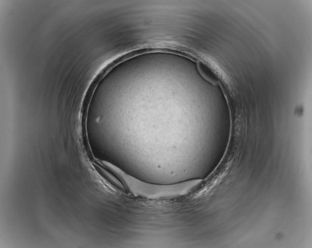 X0000099510932200805291146