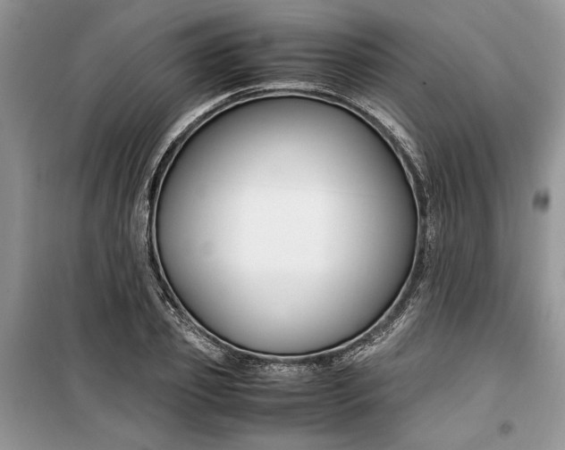 X0000099510933200805291146