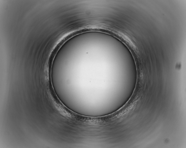 X0000099510934200805291146