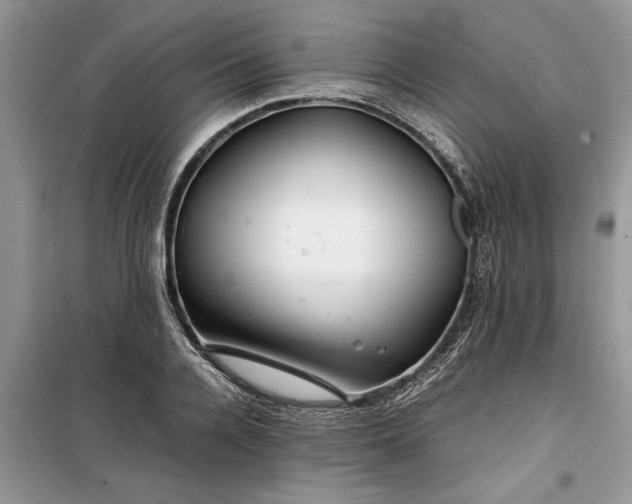 X0000099510936200805291146