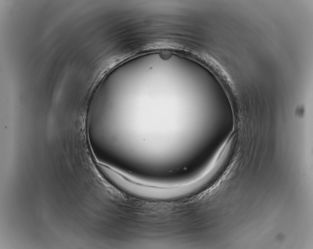 X0000099510937200805291146