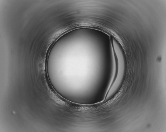 X0000099510938200805291146