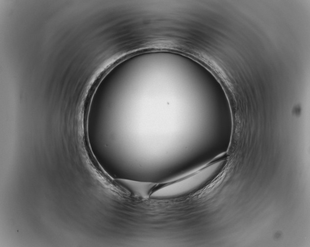 X0000099510939200805291146