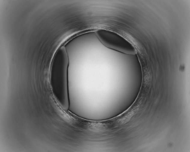 X0000099510940200805291146