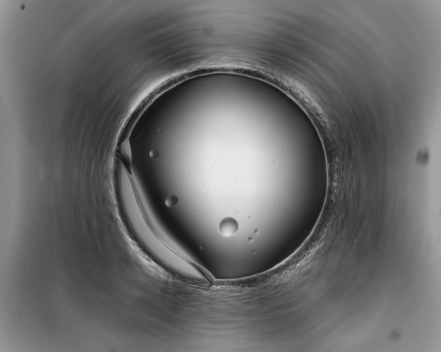 X0000099510942200805291146