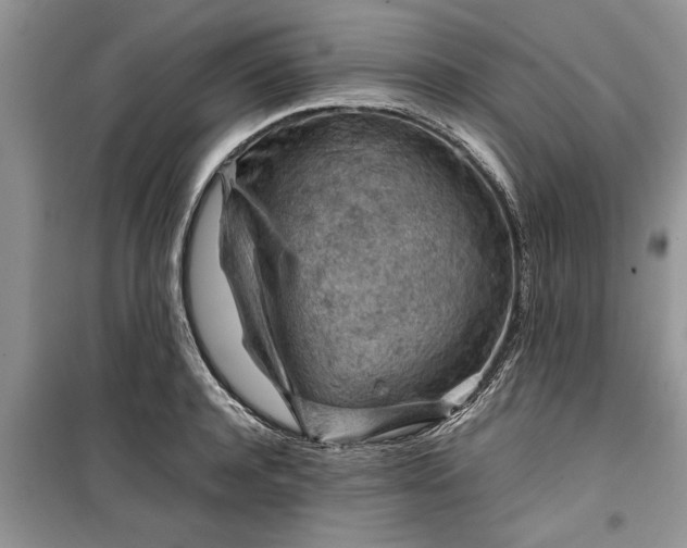 X0000099510944200805291146