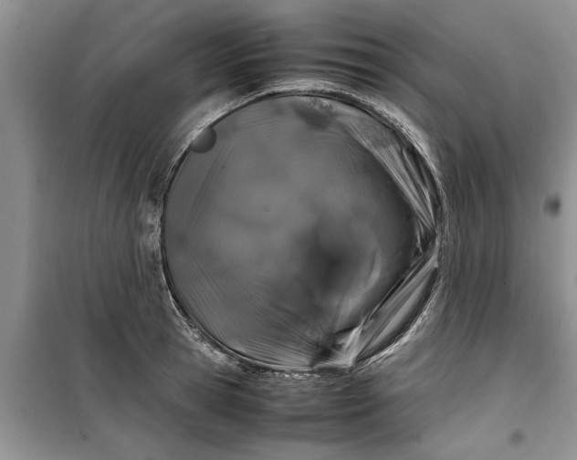 X0000099510945200805291146