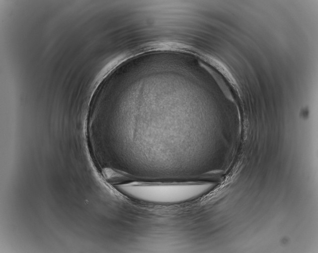 X0000099510946200805291146