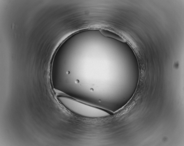 X0000099510948200805291146