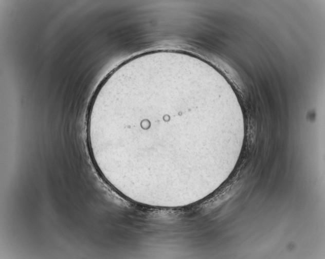 X0000099510950200805291146