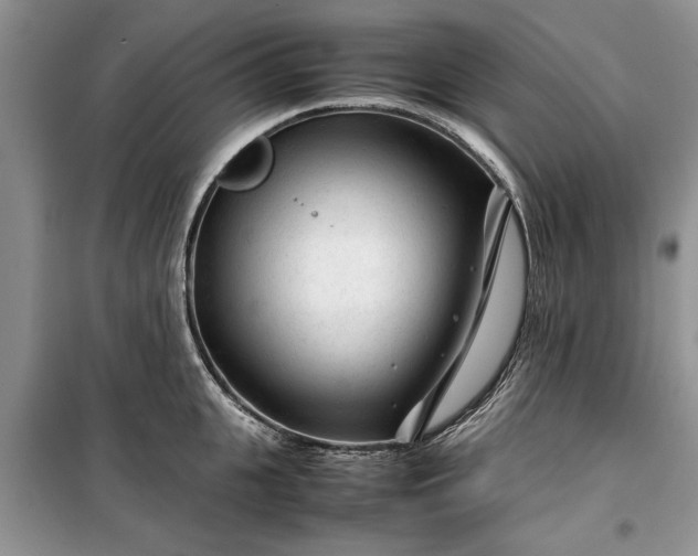 X0000099510951200805291146