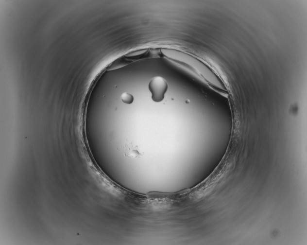 X0000099510952200805291146