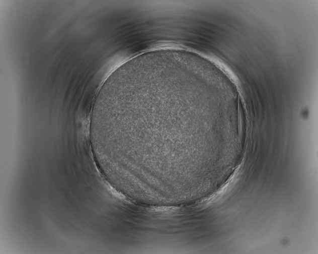 X0000099510953200805291146