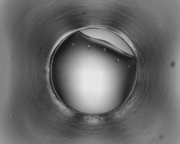 X0000099510955200805291146