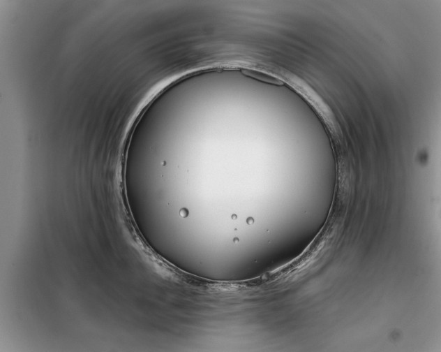 X0000099510956200805291146