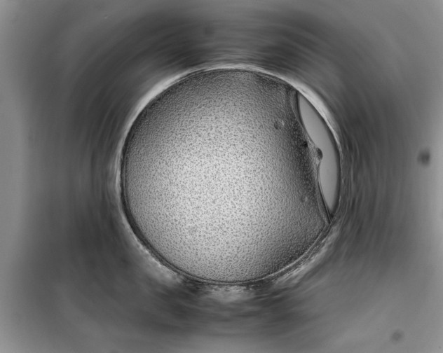 X0000099510957200805291146