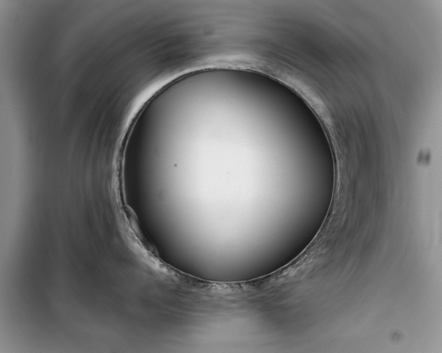 X0000099510960200805291146