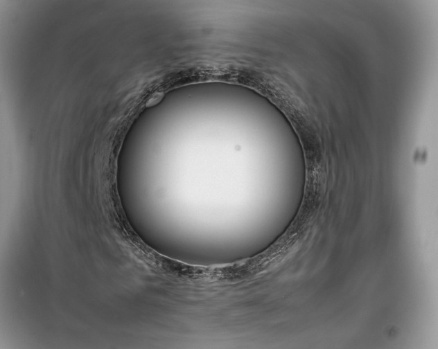 X0000099510961200805291146