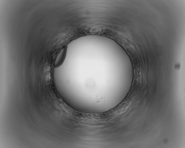 X0000099510962200805291146