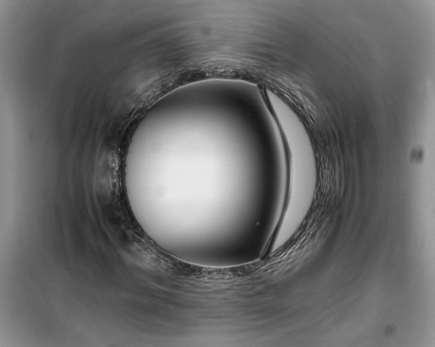 X0000099510964200805291146