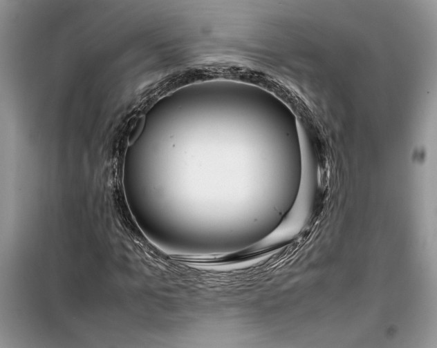 X0000099510965200805291146