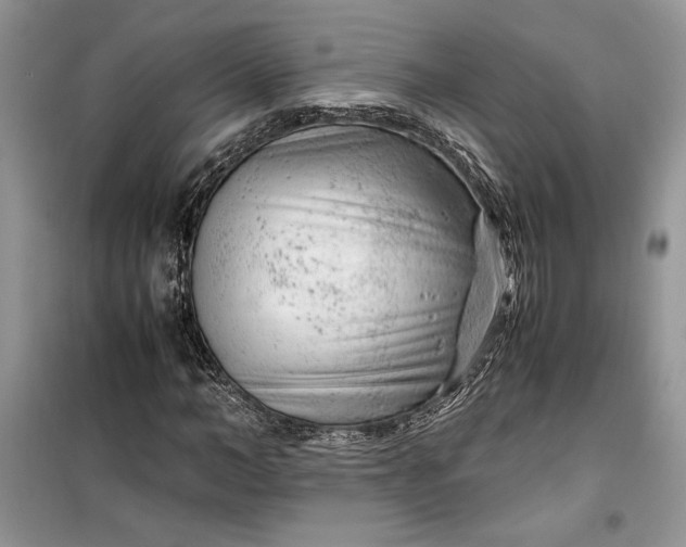 X0000099510966200805291146