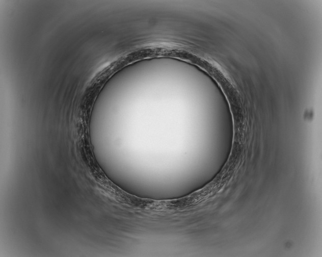 X0000099510967200805291146