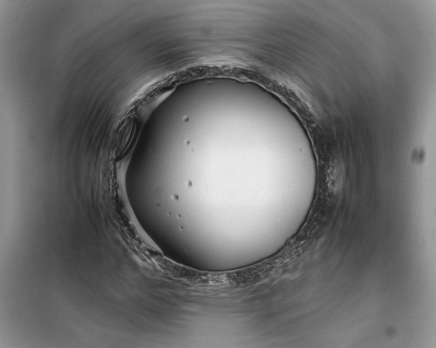 X0000099510968200805291146