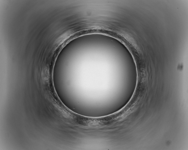 X0000099510969200805291146