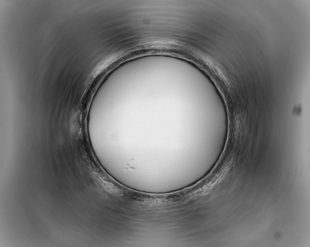 X0000099510970200805291146