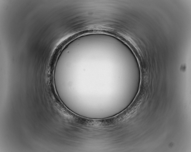 X0000099510971200805291146