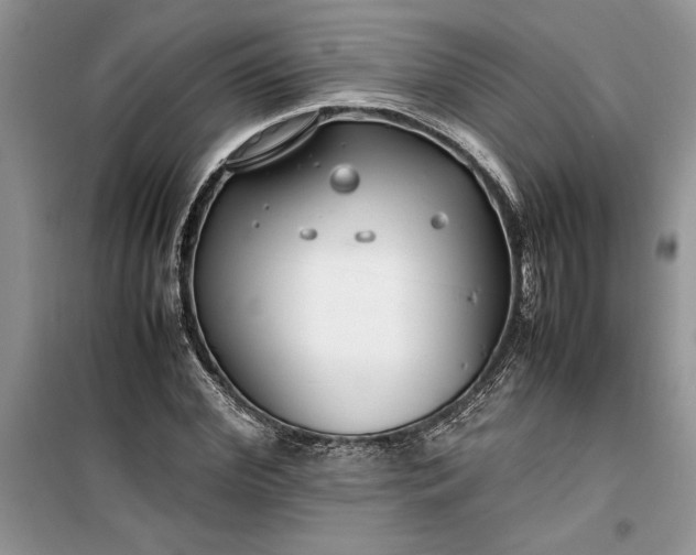 X0000099510972200805291146